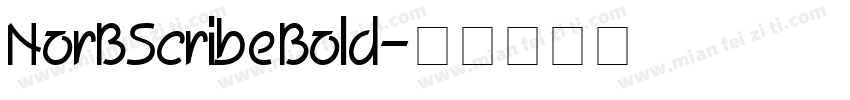 NorBScribe Bold字体转换